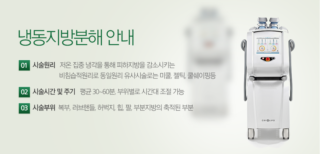 냉동지방분해